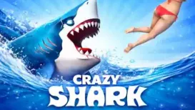 Crazy Shark