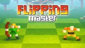 Flipping Master
